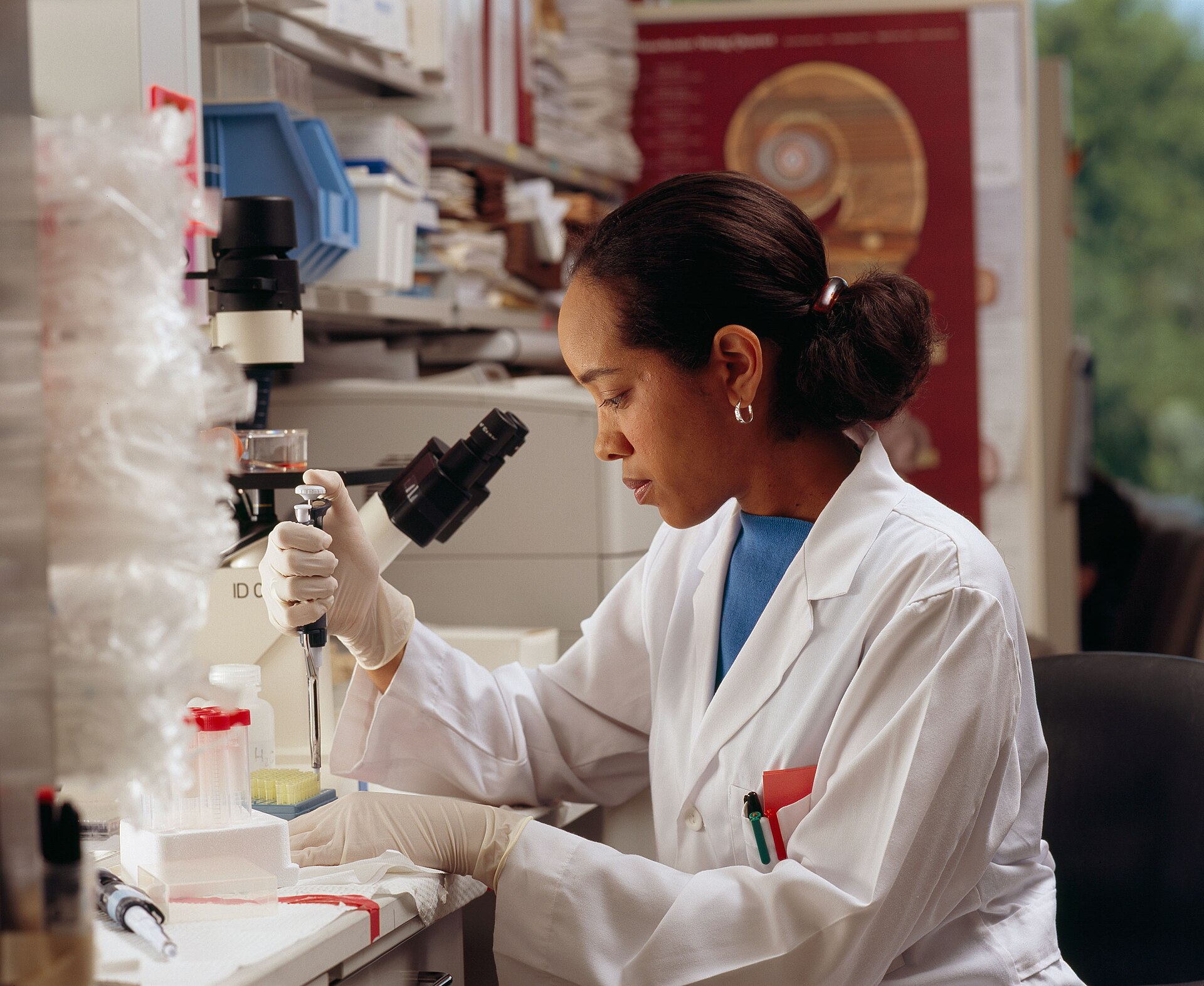 Scientist reviewing documentation